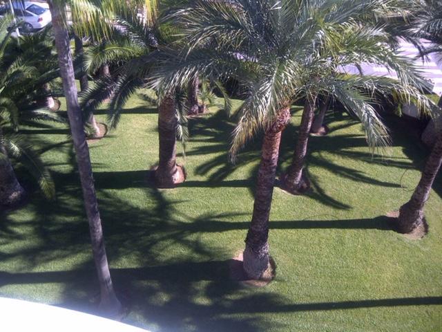Apartment Martinez Casablanca Alcossebre المظهر الخارجي الصورة